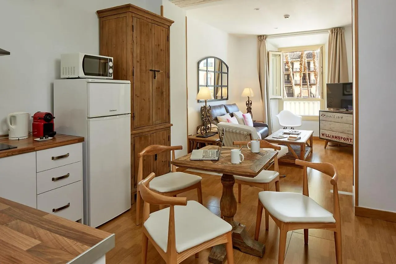Lodgingmalaga Plaza Constitucion Apartment